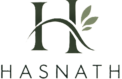 hasnadigital.com